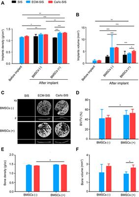 BMSCs and Osteoblast-Engineered ECM Synergetically Promotes Osteogenesis and Angiogenesis in an Ectopic Bone Formation Model